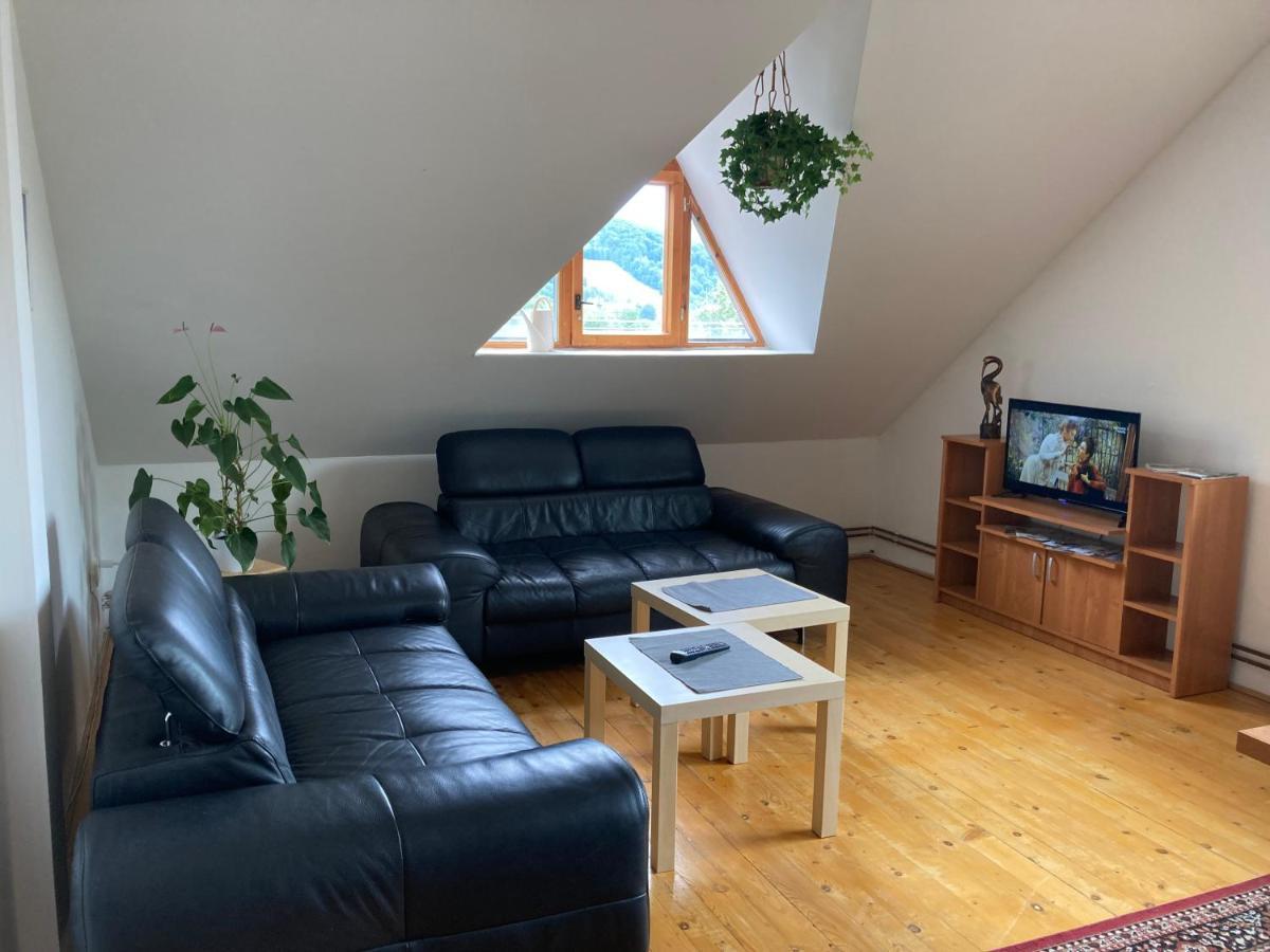 Apartman Pod Laznema Jesenik Exterior photo